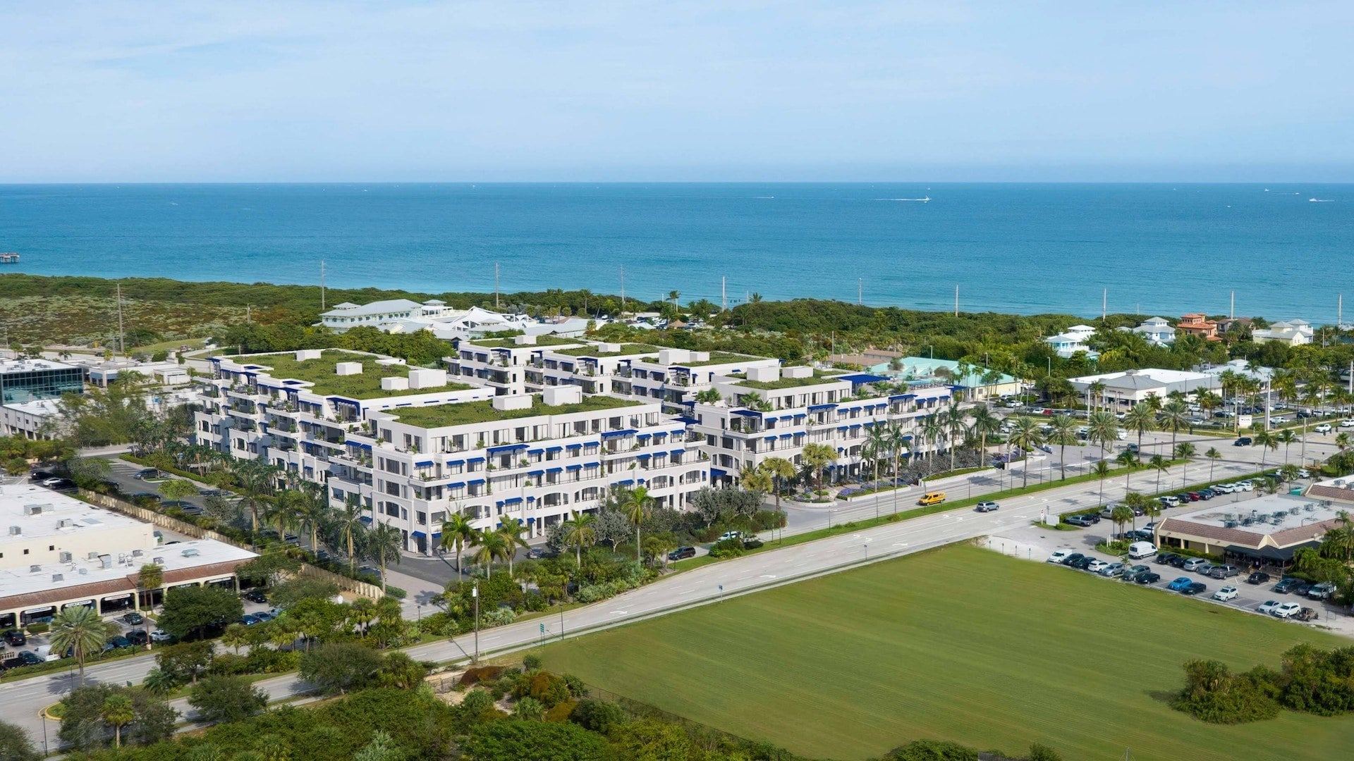 Caretta Juno Beach