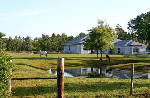 Palm Beach Equestrian Estates