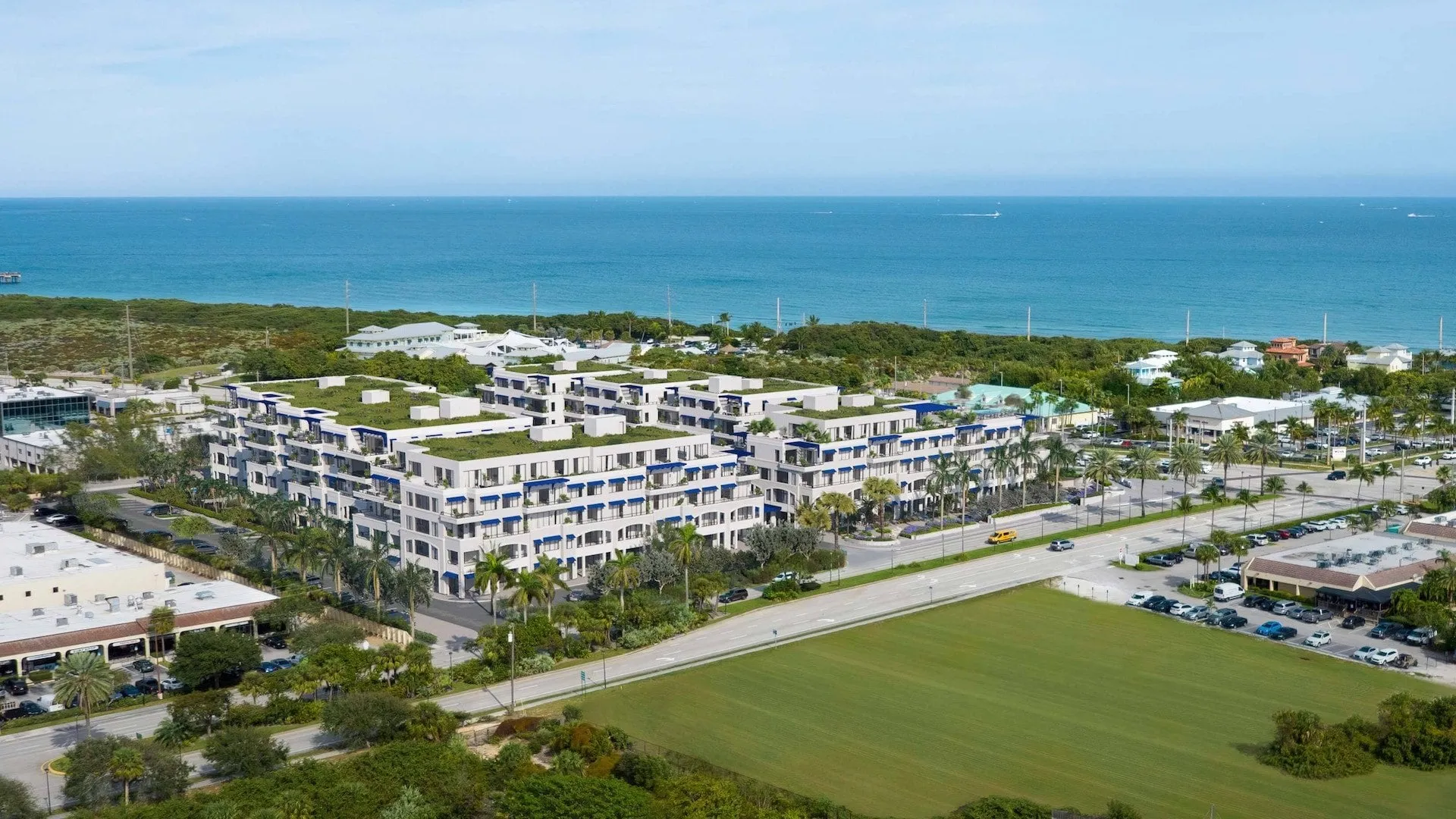 Caretta Juno Beach
