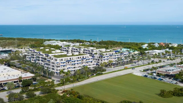 Caretta Juno Beach