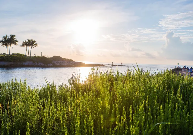 Alina Residences Boca Raton — image 4