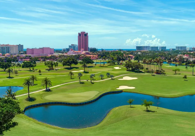 Alina Residences Boca Raton — image 5