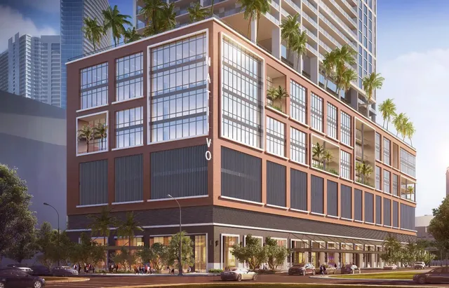 Natiivo Miami — image 6
